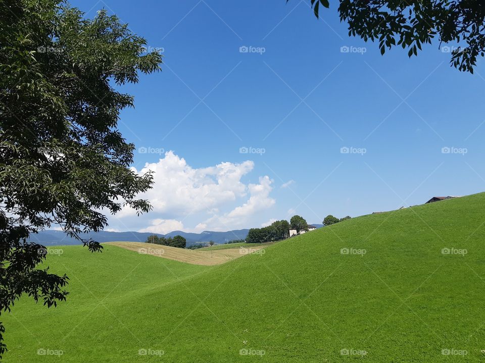 green fields at the mountains under a blue sky