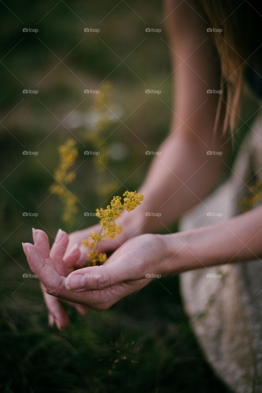 Nature. Earth. Flowers. Hands. Detail.