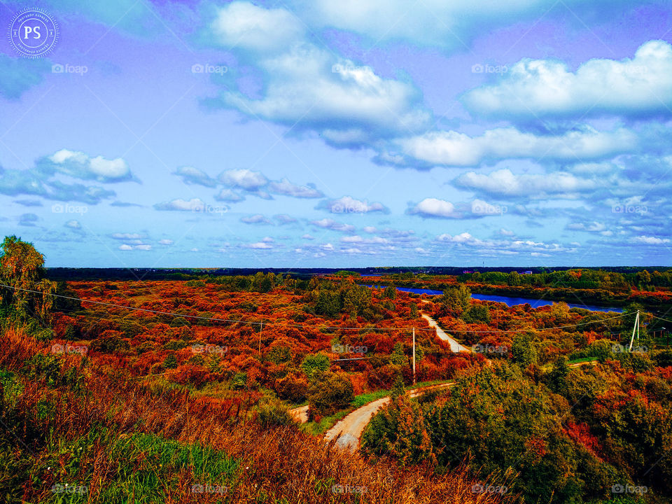 the nature in Russia in the fall
nature