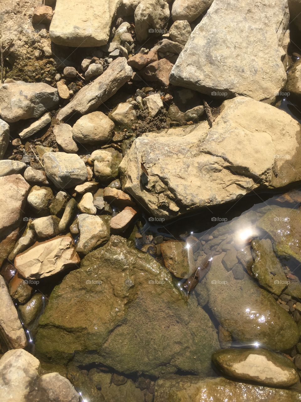 Rough terrain of a slow moving mountain stream 