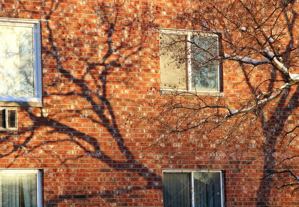 bricks and windows