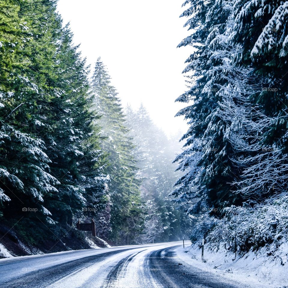 Winter road 