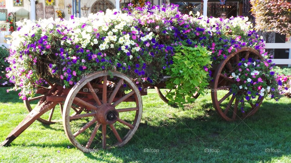 Wagon of flowers