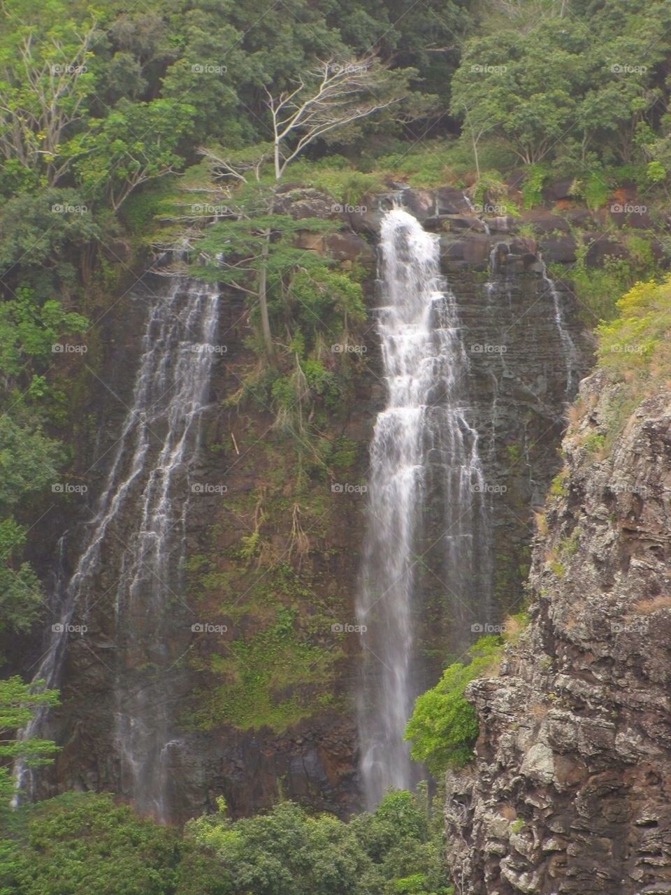 Kauai 