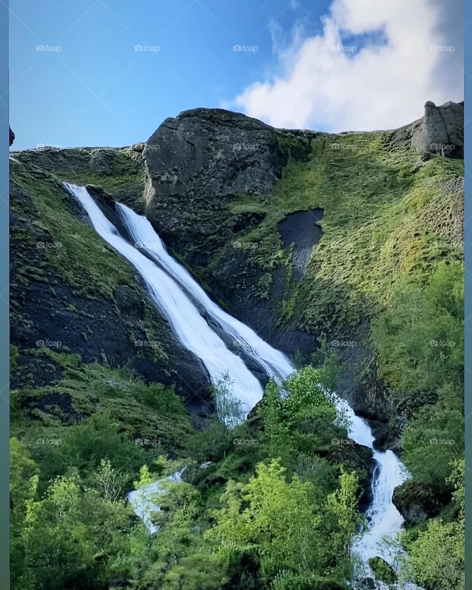 Nature 