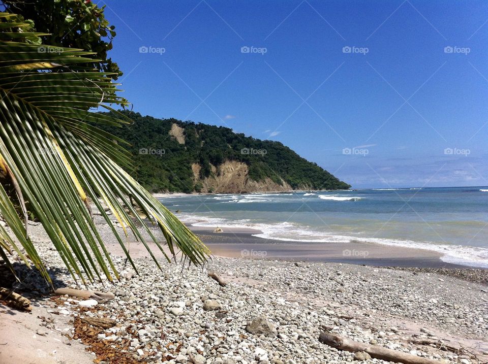 Palm trees and rocks on Punta Arenas beach, Costa Rica