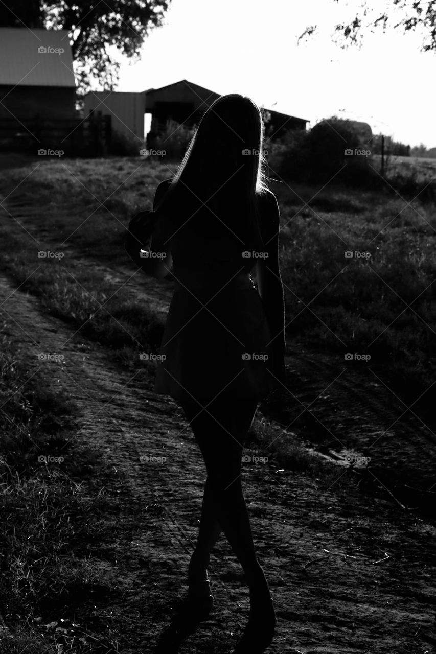 Silhouette on a farm 