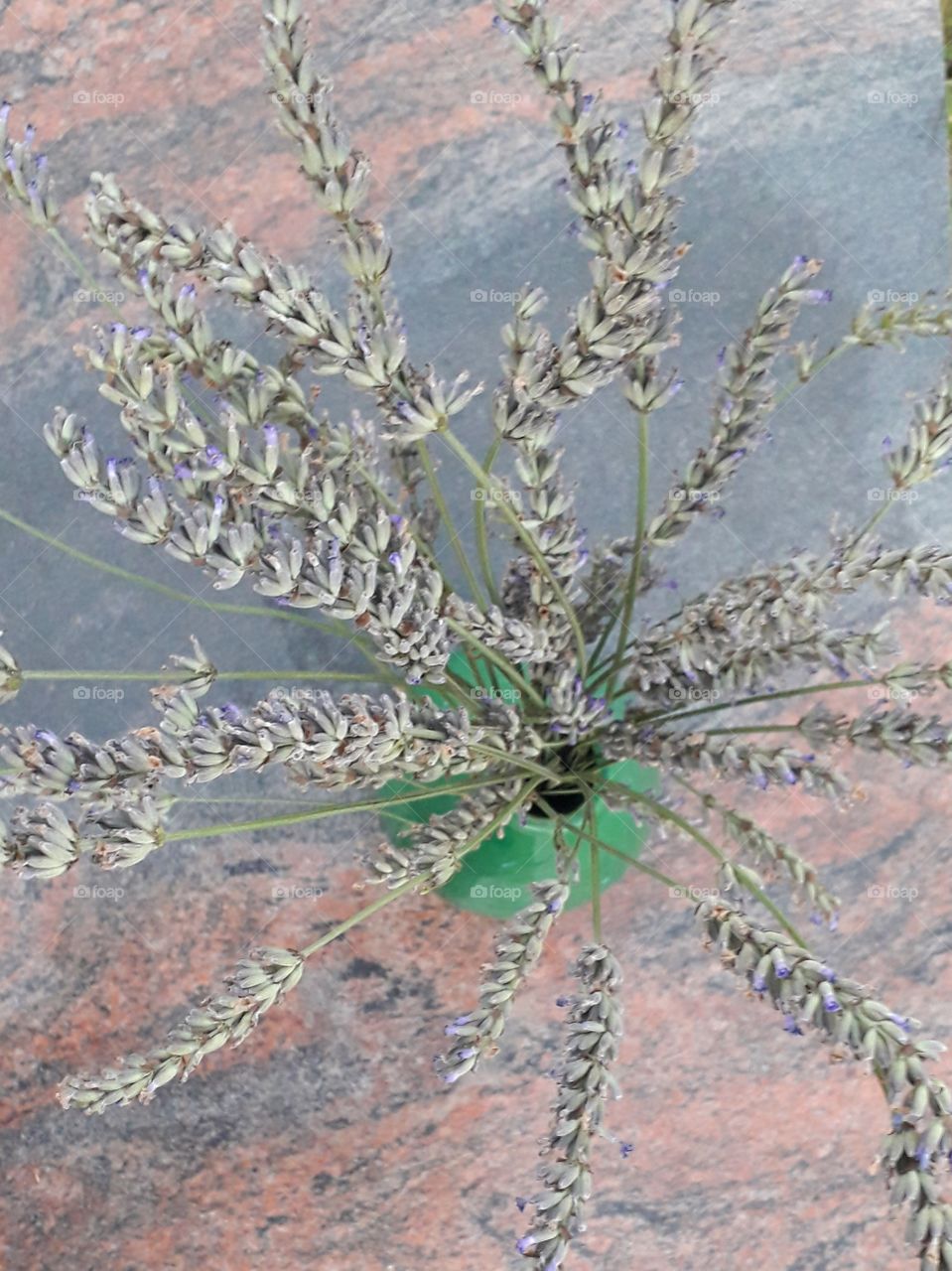 lavender still life and stone background 2