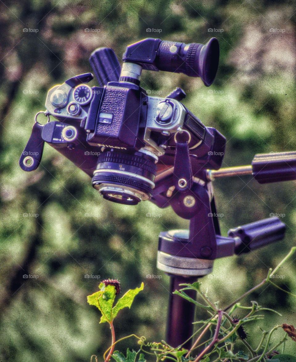 old school macro set-up