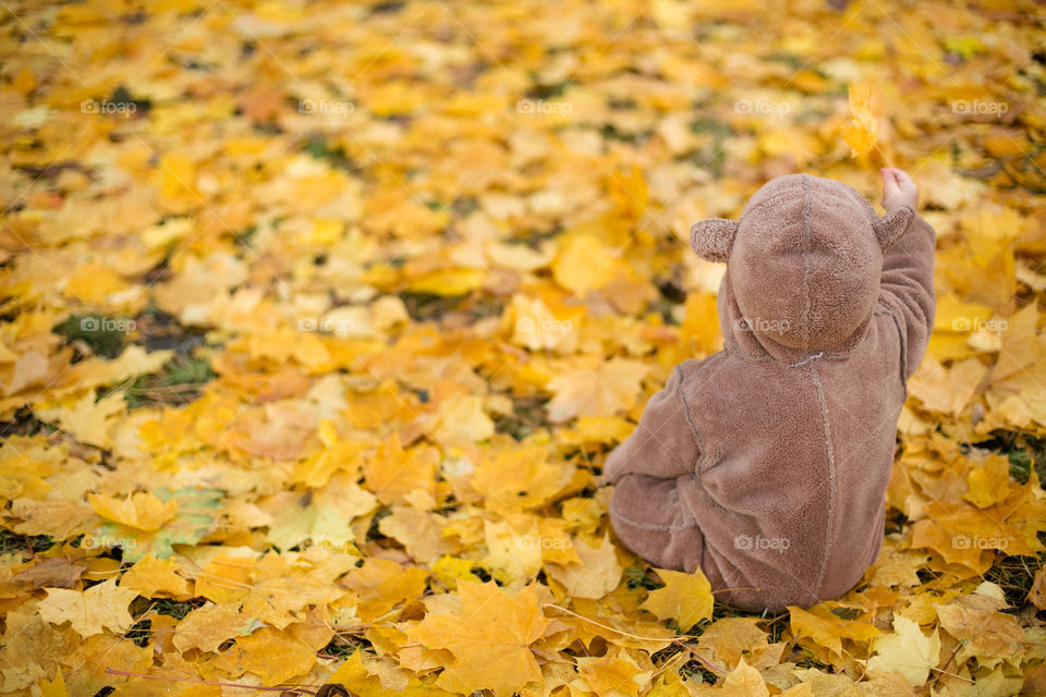 Baby sitting on autumn leaf