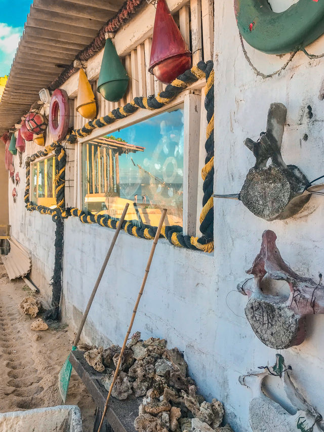 Casa de corais marinhos !