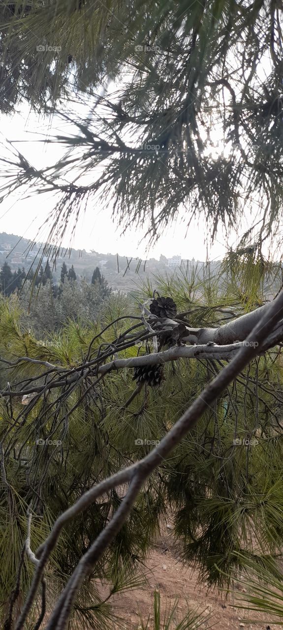 beautiful place in Jordan 🇯🇴