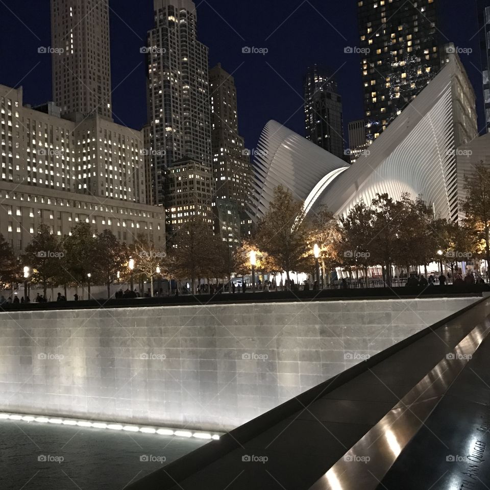 Reflecting pool and Oculus 