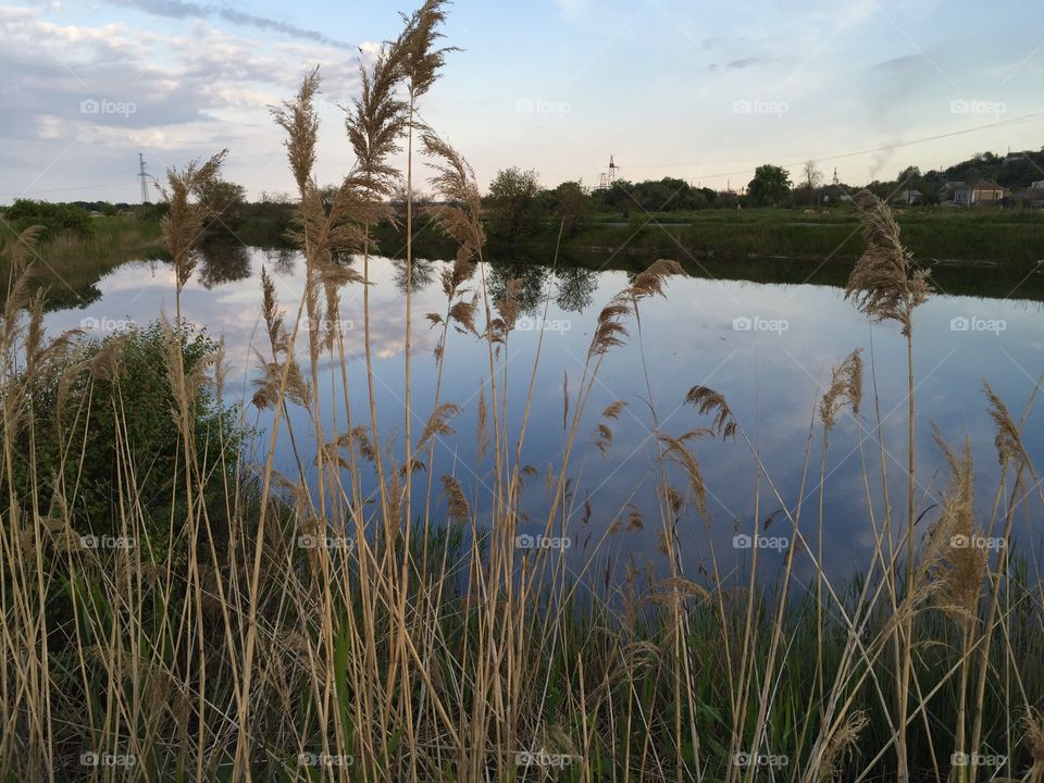 Lake, reeds and sky reflection 
