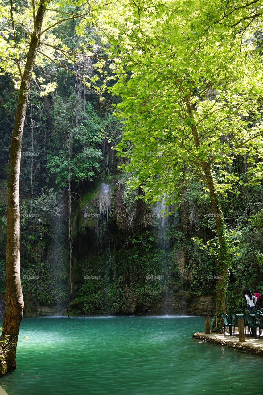 Paradise Found...

Baakline is a beautiful  town in Mount Lebanon.  It is famous for its waterfalls.  The "Paradise" waterfall is the most breathtaking. 