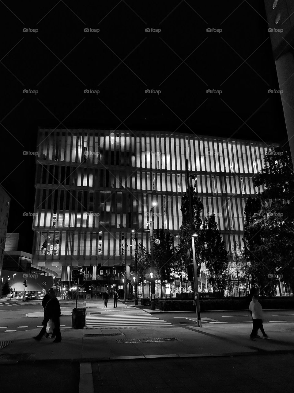 The city sleeps, but the lights still whisper secrets