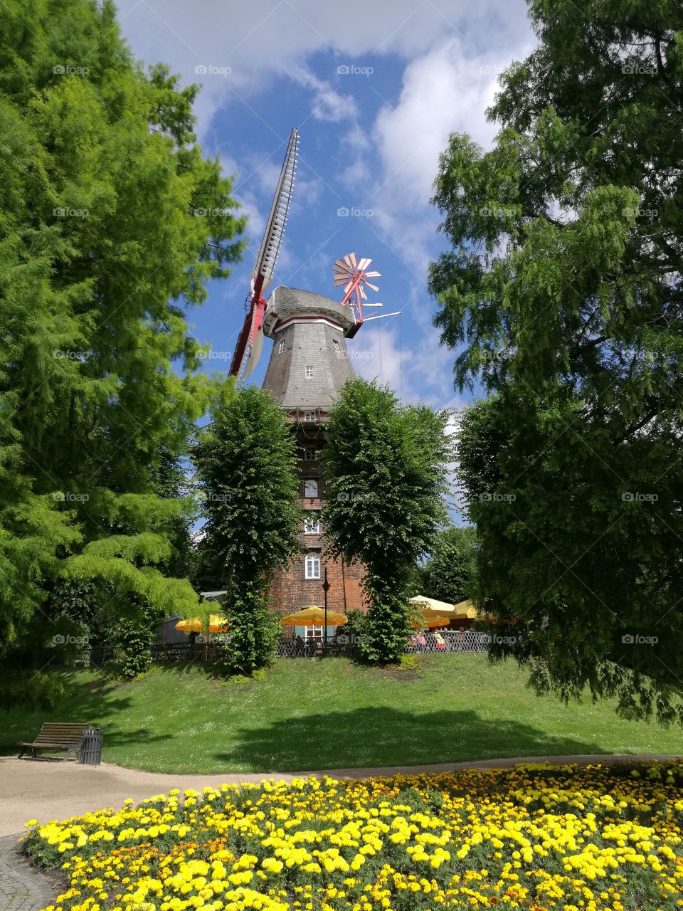 Windmill at park