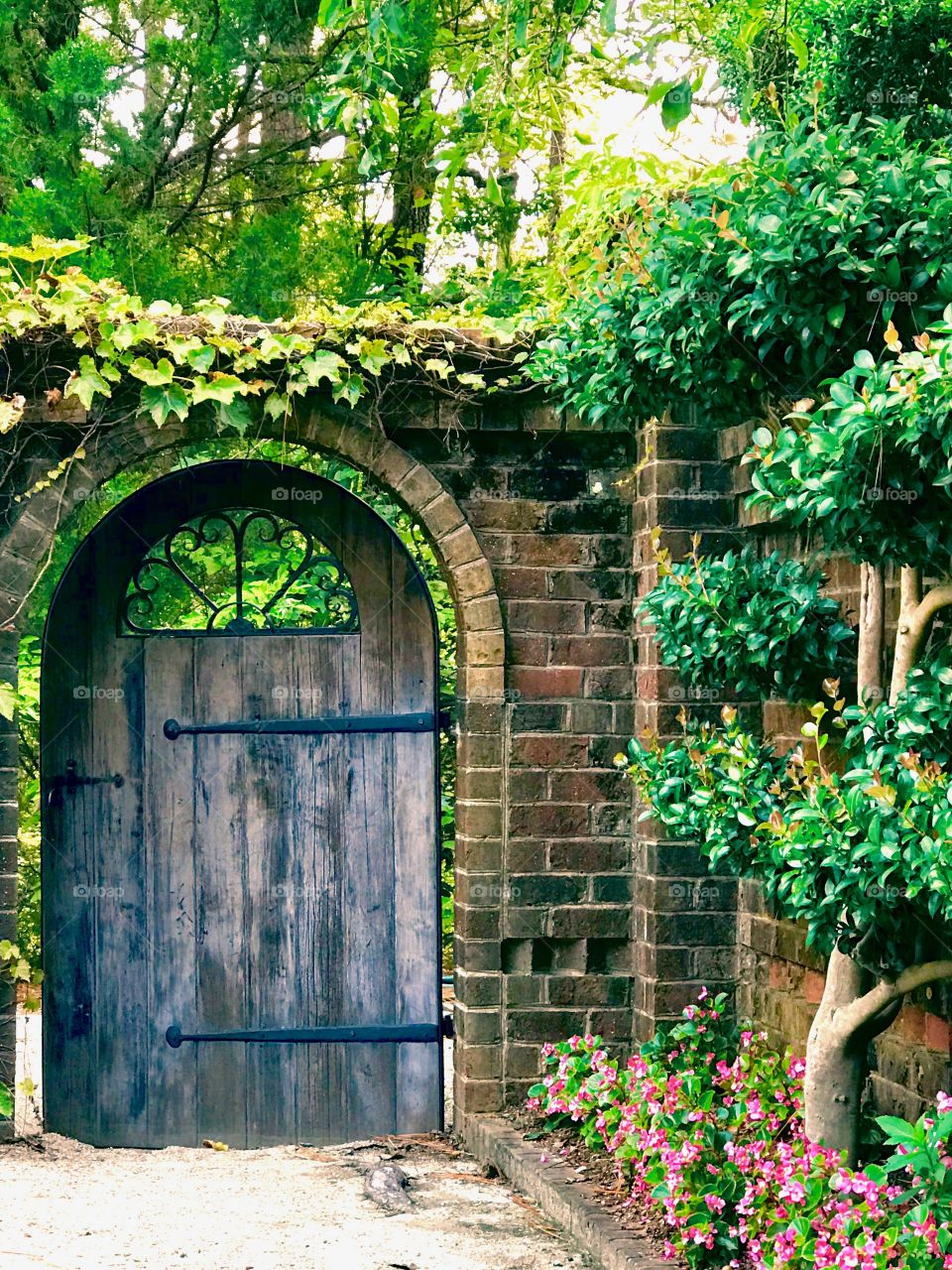 Door to the secret garden