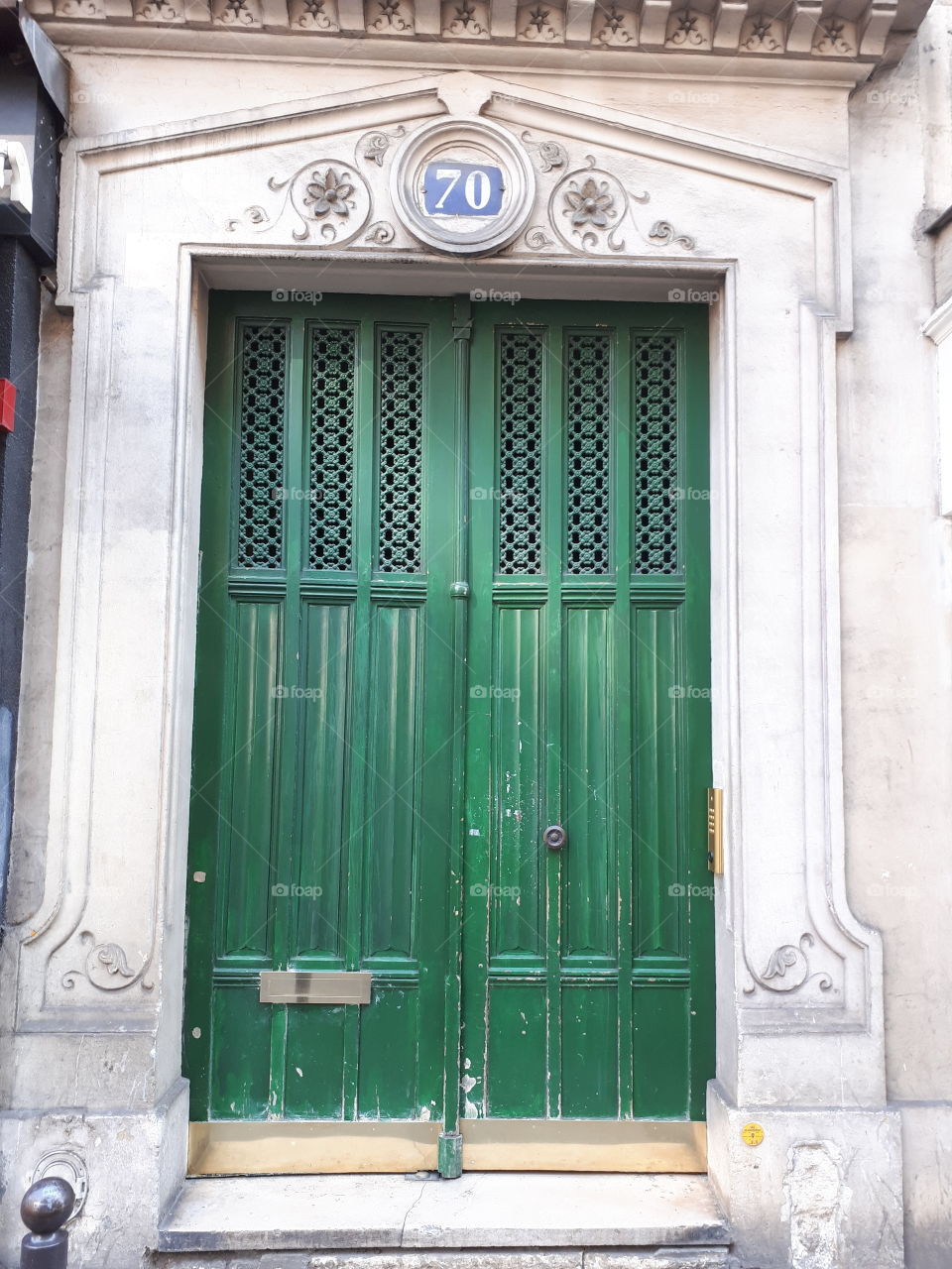 Wooden green entrance door