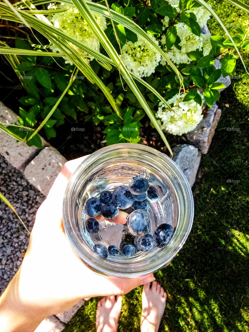 Blueberry Summer Drink