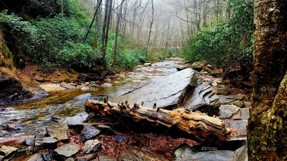 A smoky mountain forest stream