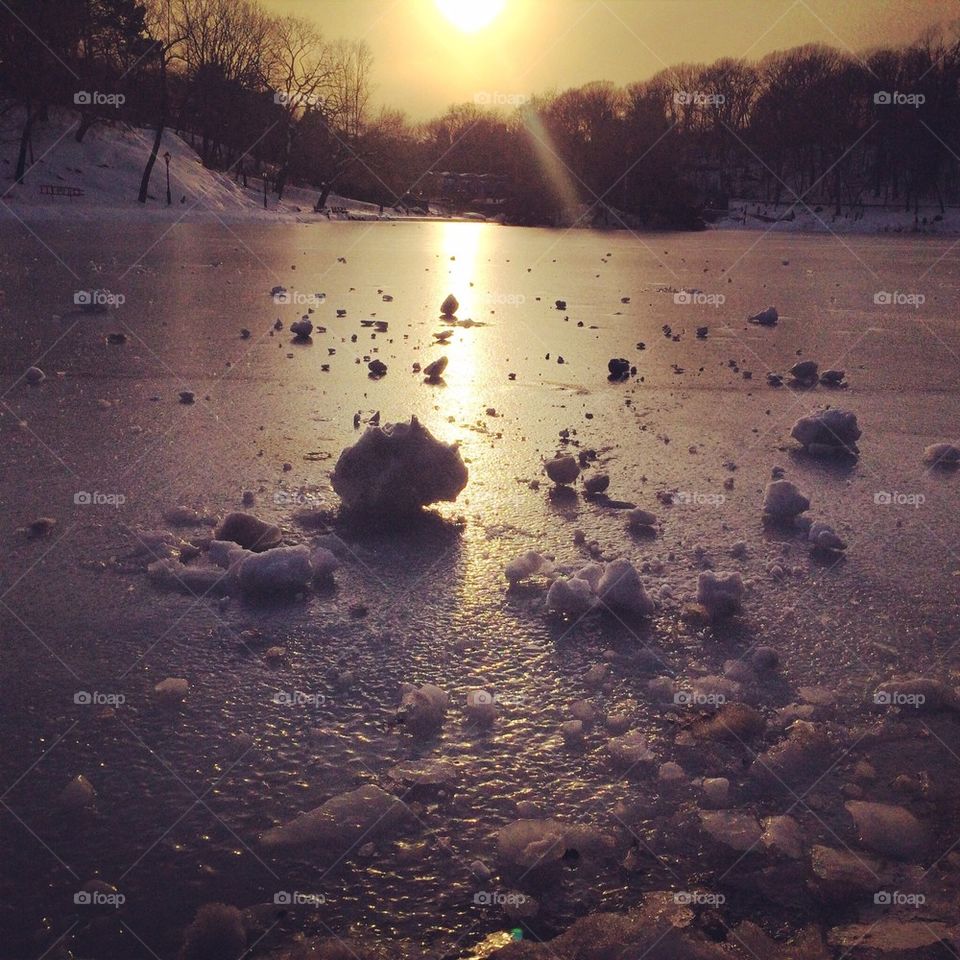 Snow in Central Park