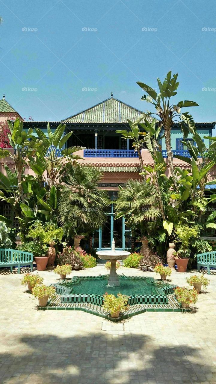 Beautiful and magic Majorelle Garden at marrakech city in morocco.