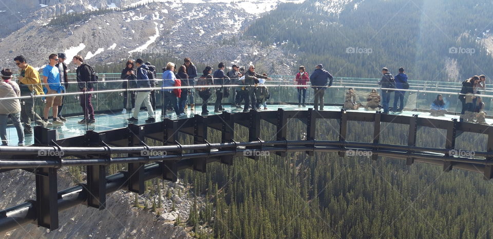 skywalk Columbia icefield