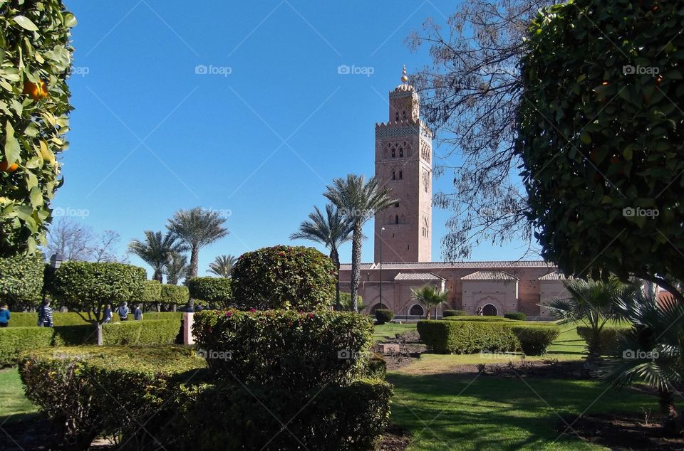 A view of the Mosque from the gardens