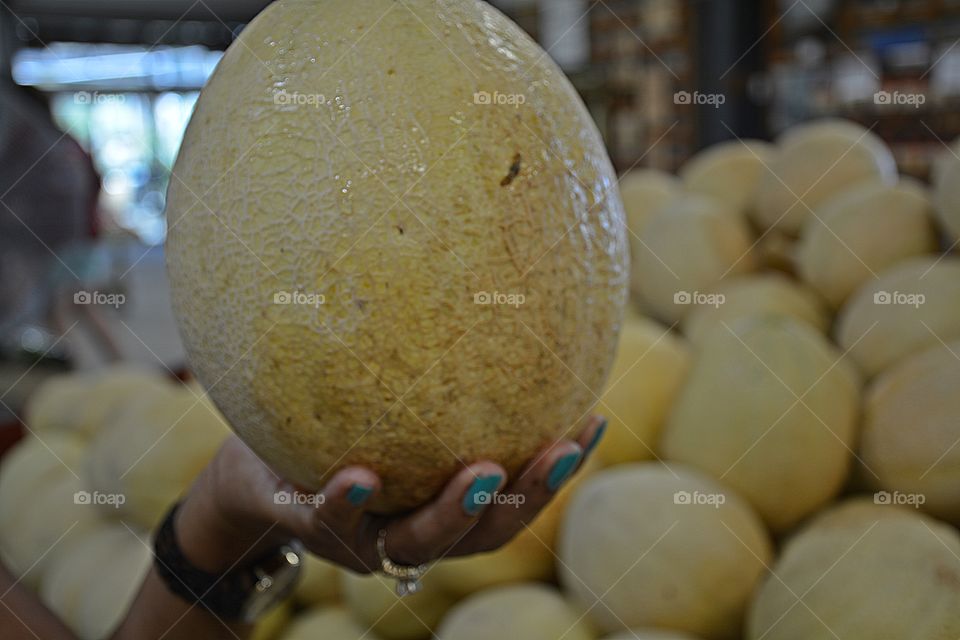 Fruits - Holding a large Cantaloupe melon - a round melon with firm, orange, and moderately sweet flesh 