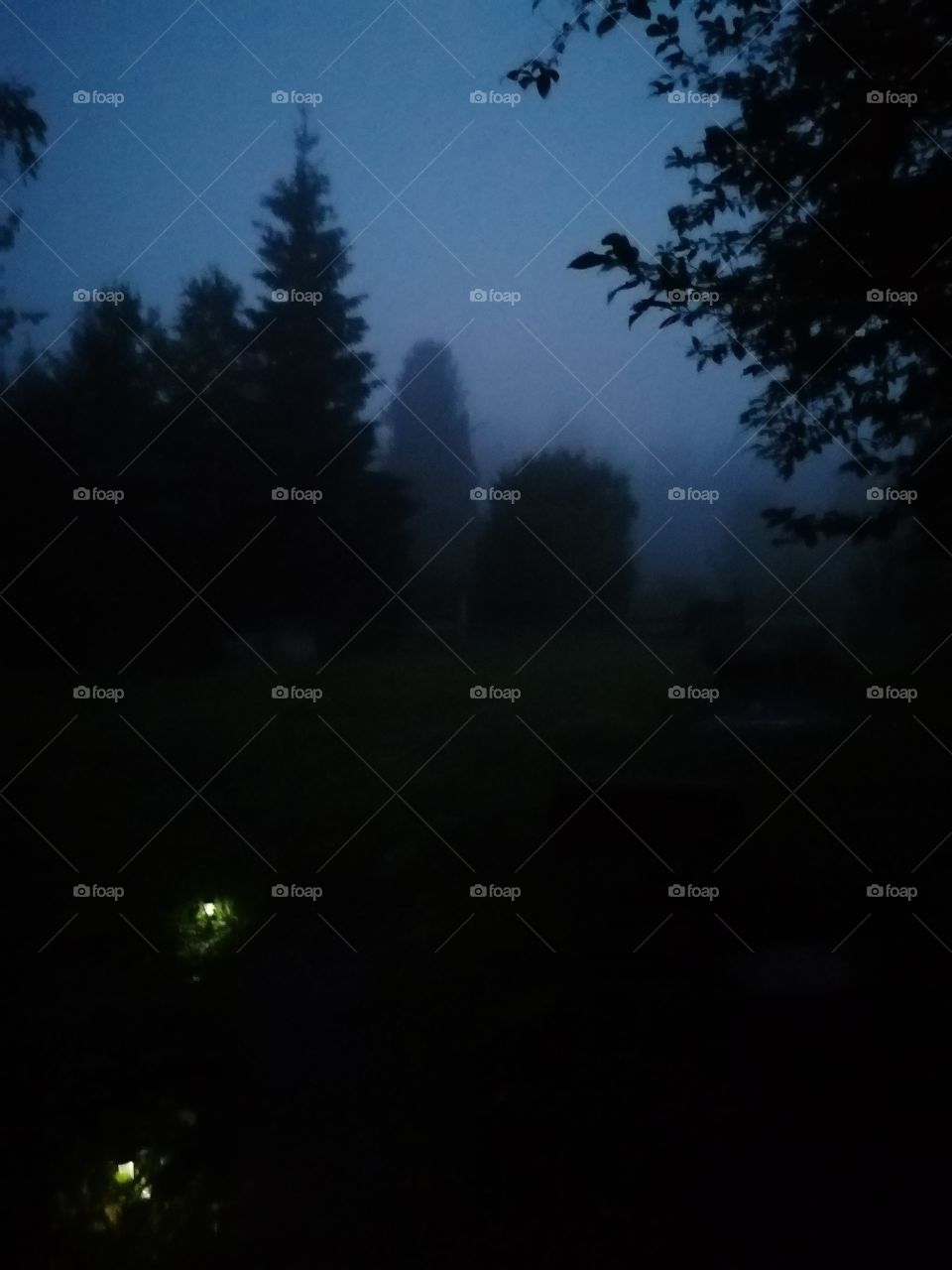 Foggy night