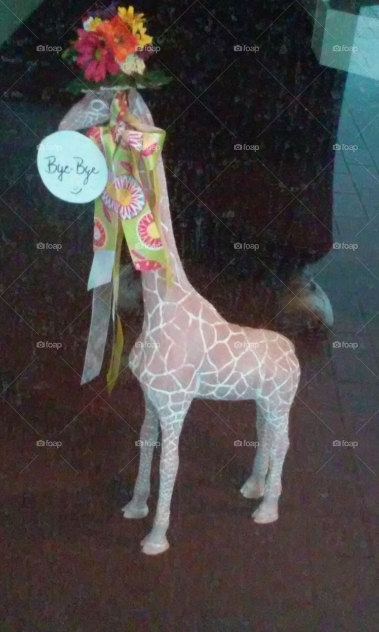 The Pink Giraffe gift shop farewell message