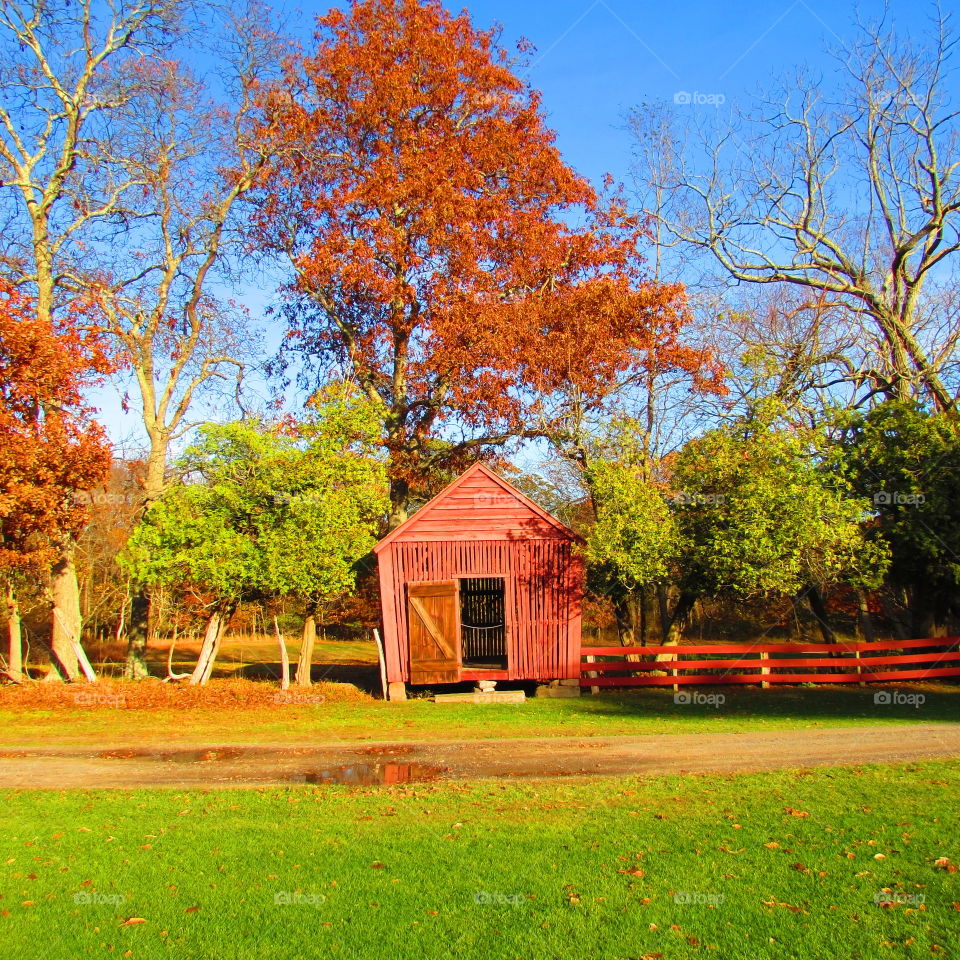 fall colors