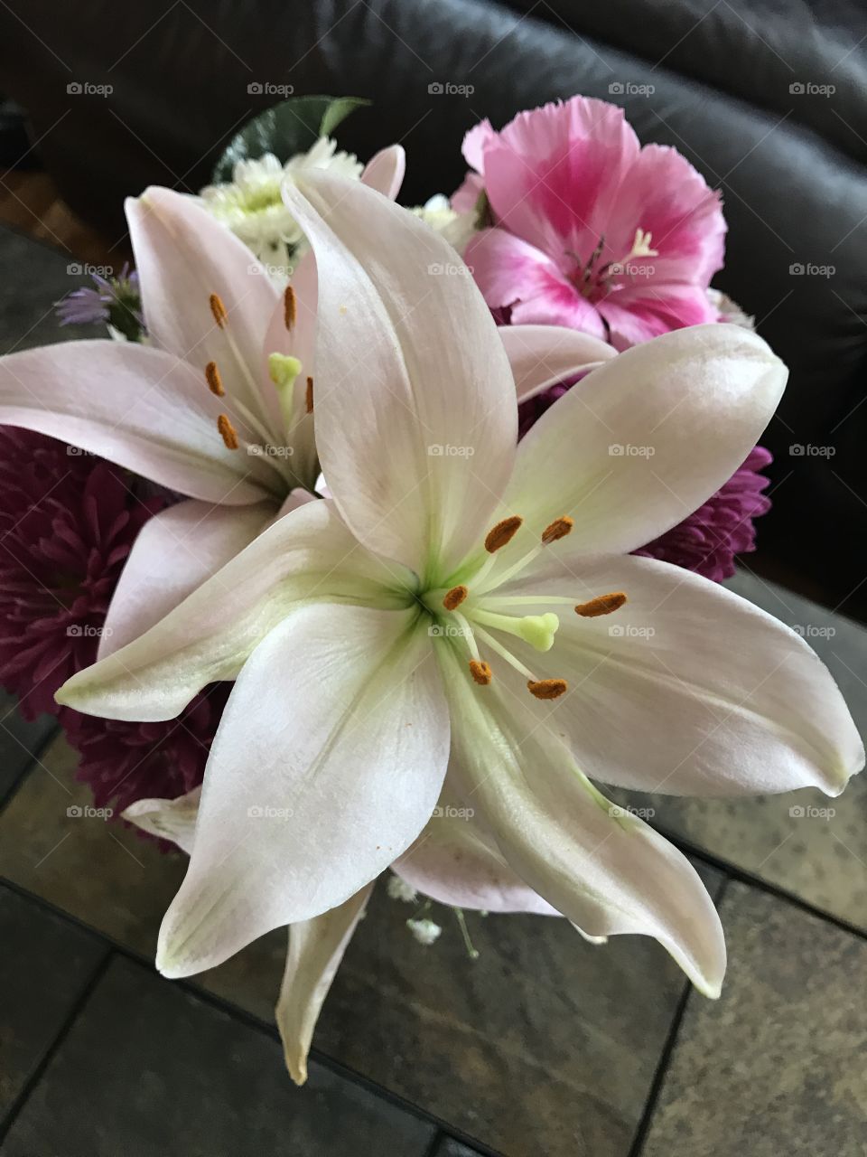 Lily Love 