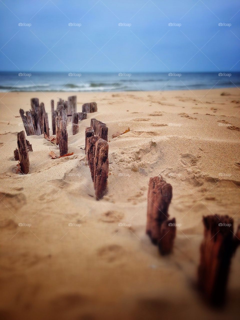 On the beach of Lake Michigan