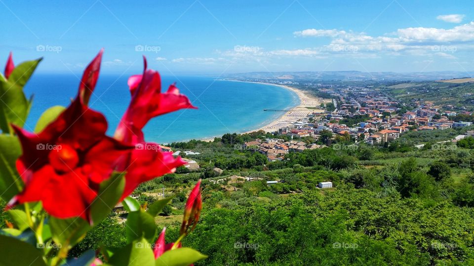 Panorama of the coast in spring with red flowers in the foreground