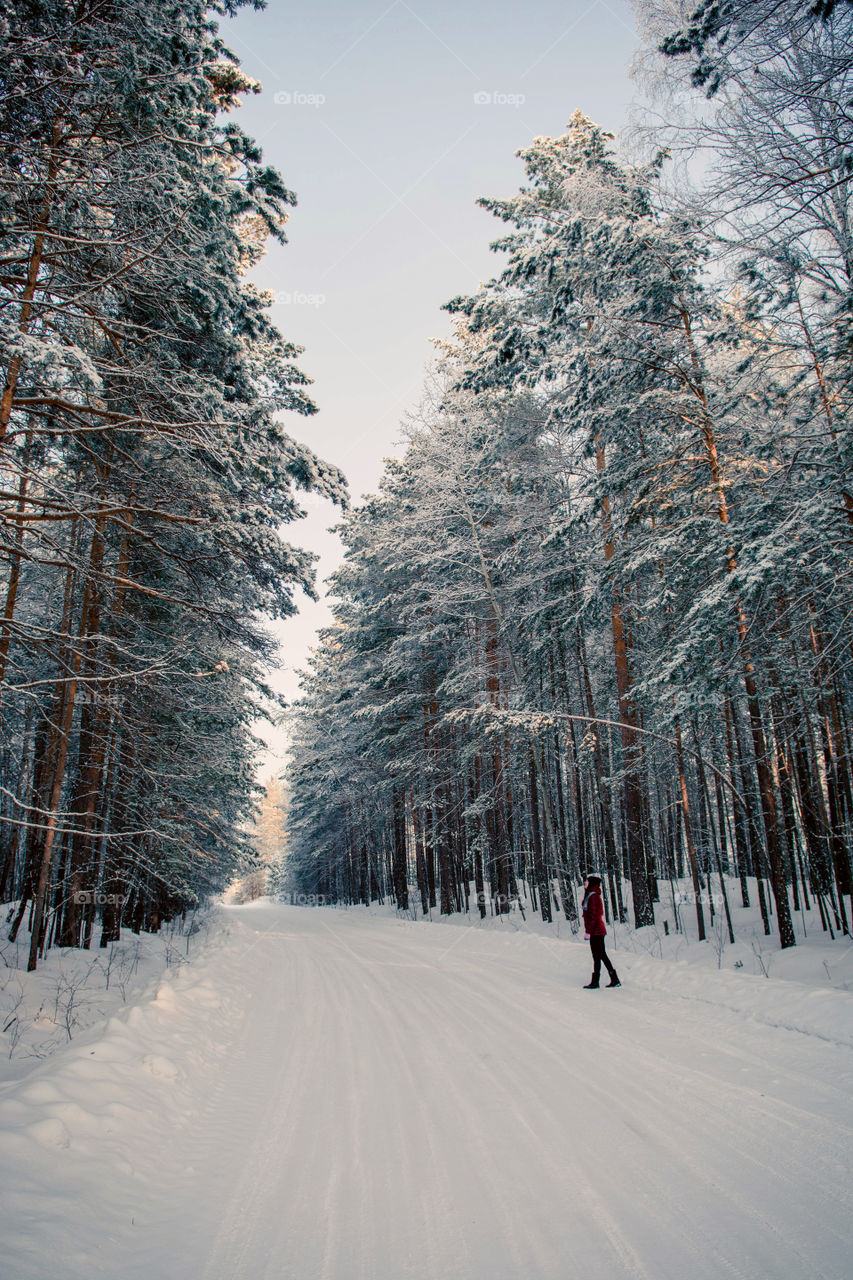 Wonderful winter walk