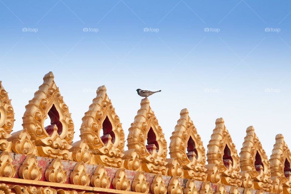 A bird standing on “Sema” Thai style decorated temple wall