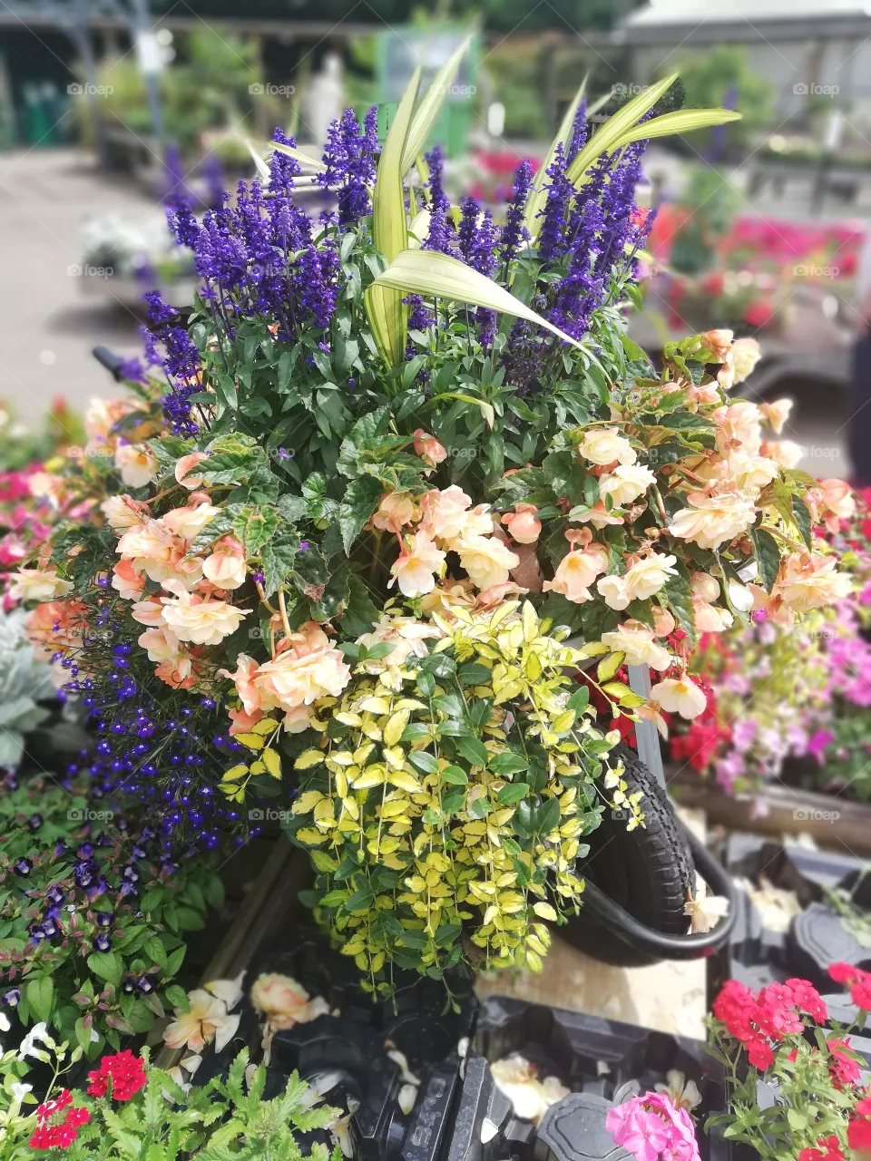 flowers