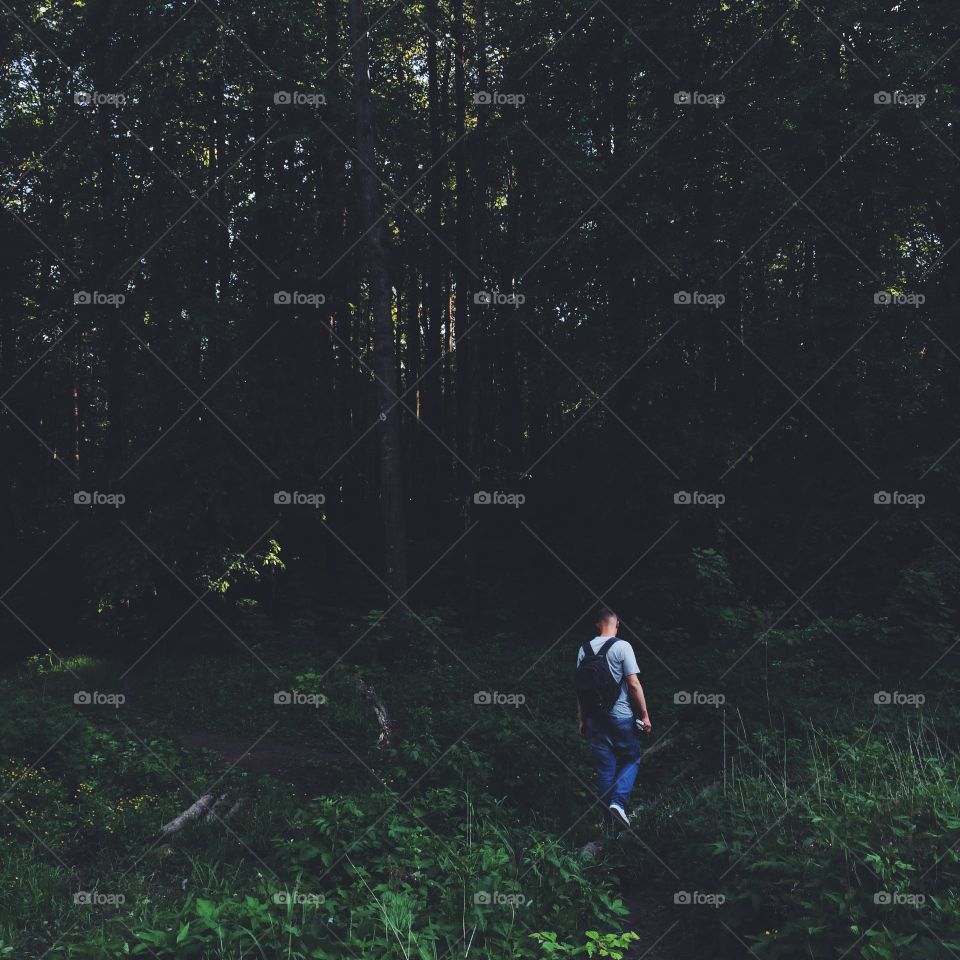 Man in the forest