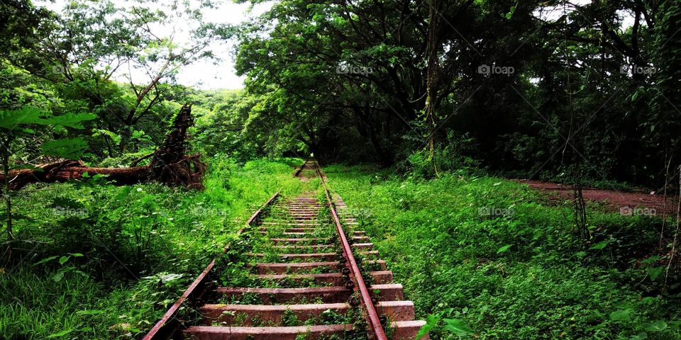 Countryside - Old railway Rusty Tracks