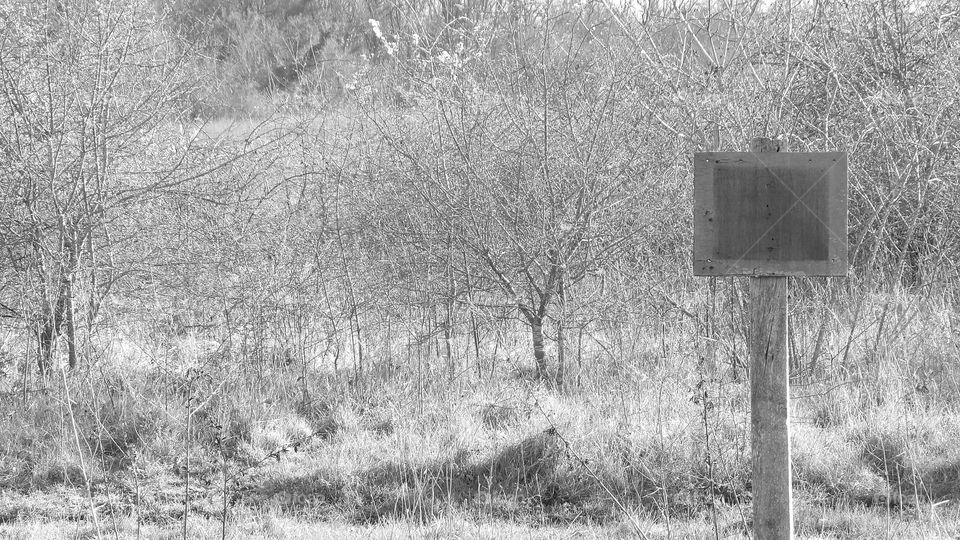 Sign an landscape composition