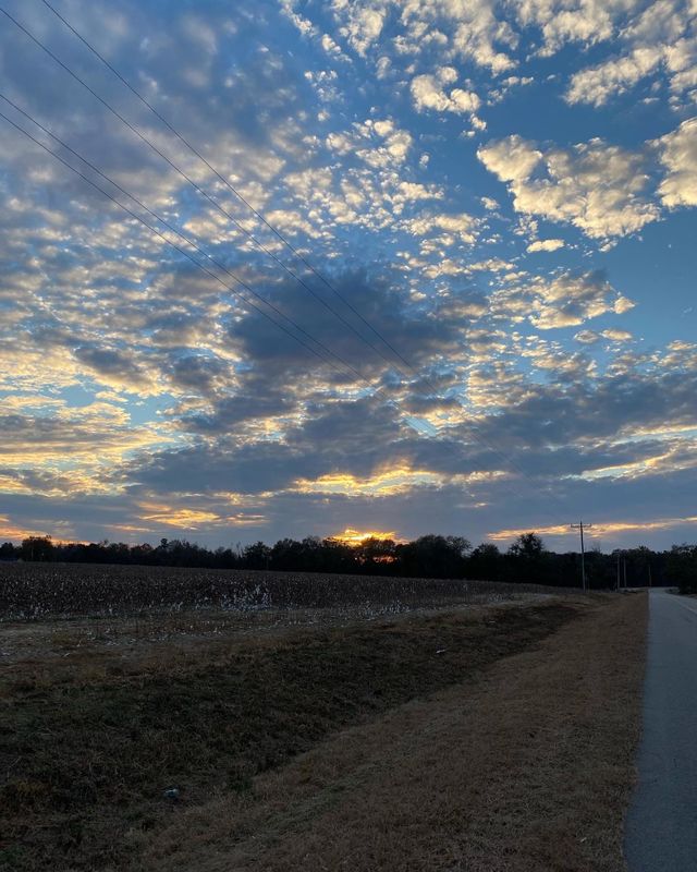 Night beginning to fall 