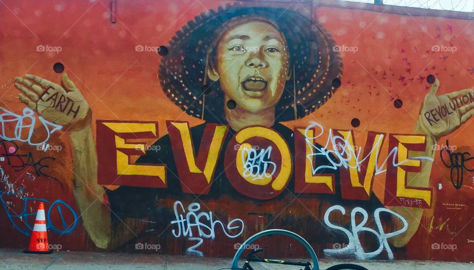 Evolve, beautiful Brooklyn Street Art 2017 #nycstreetart #streetart #nyc 
