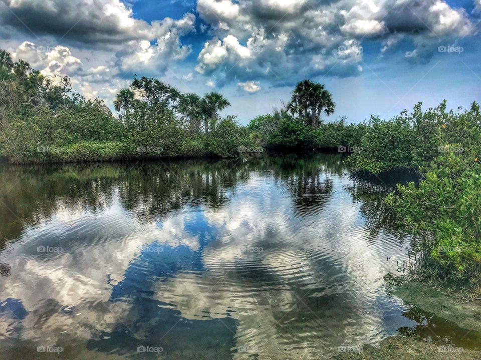 Clouds reflected