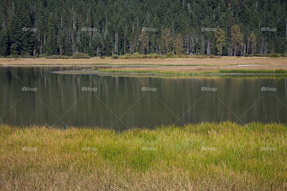 Lost Lake off of the Santiam Pass in Oregon’s mountains with multicolored trees reflecting in its waters on a beautiful sunny fall day.
