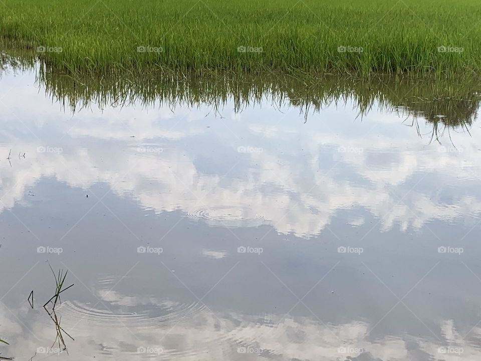 Editor’s choice: Photo of the week, Thailand.