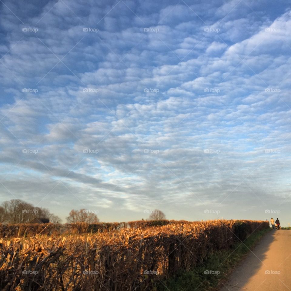 Clouds over agriculture field