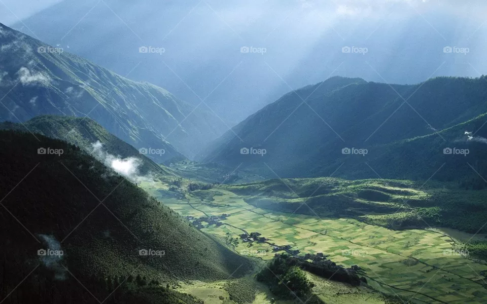 nature