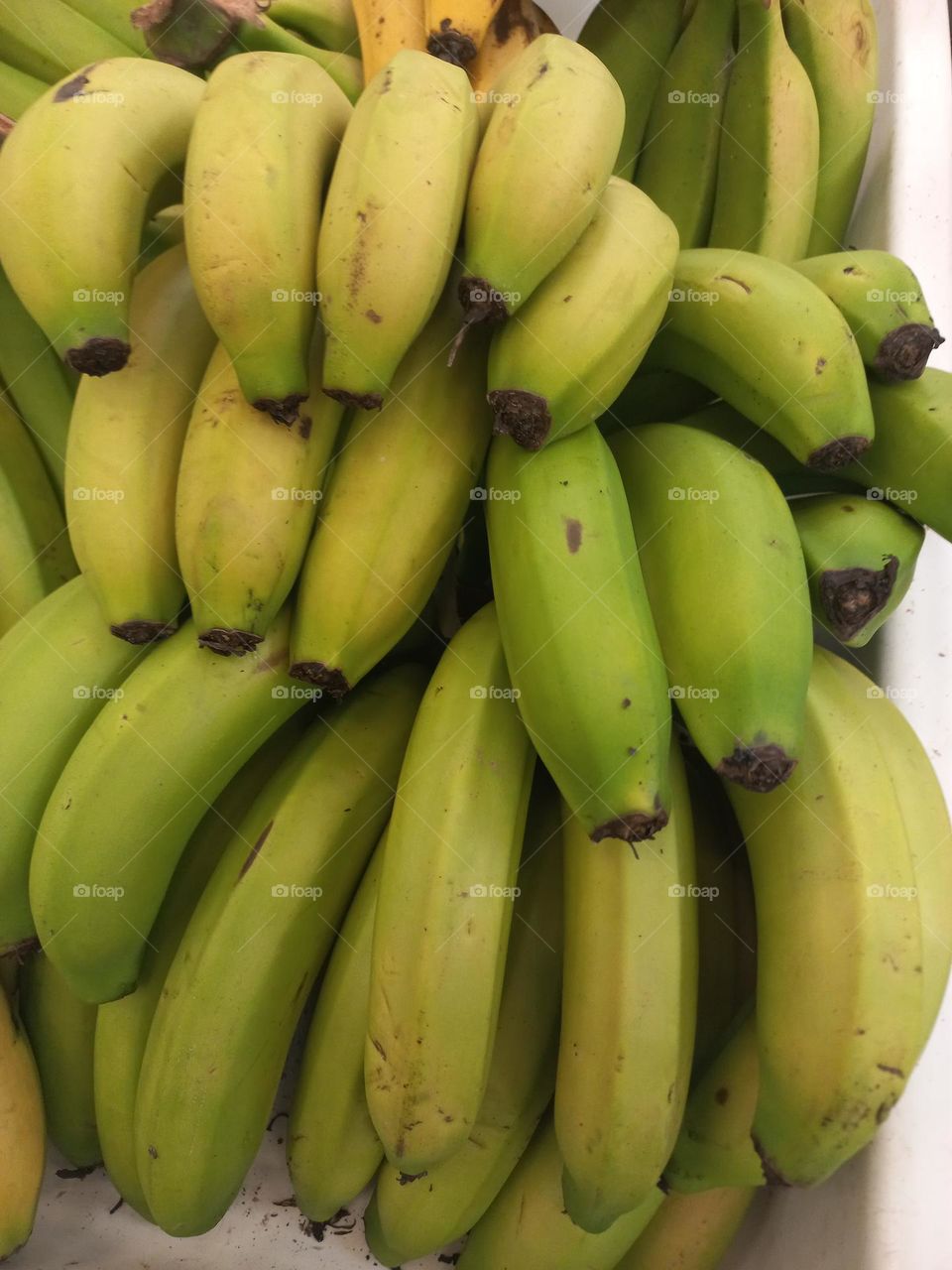 A banana verde é rica em girassol insolúveis,  o que ajuda a regular o trânsito intestinal e, a prevenir a prisão  de ventre.  Quando consumida cozida, atua como prebiótico, ajudando a equilibrar a flora intestinal  e a prevenir diarreia